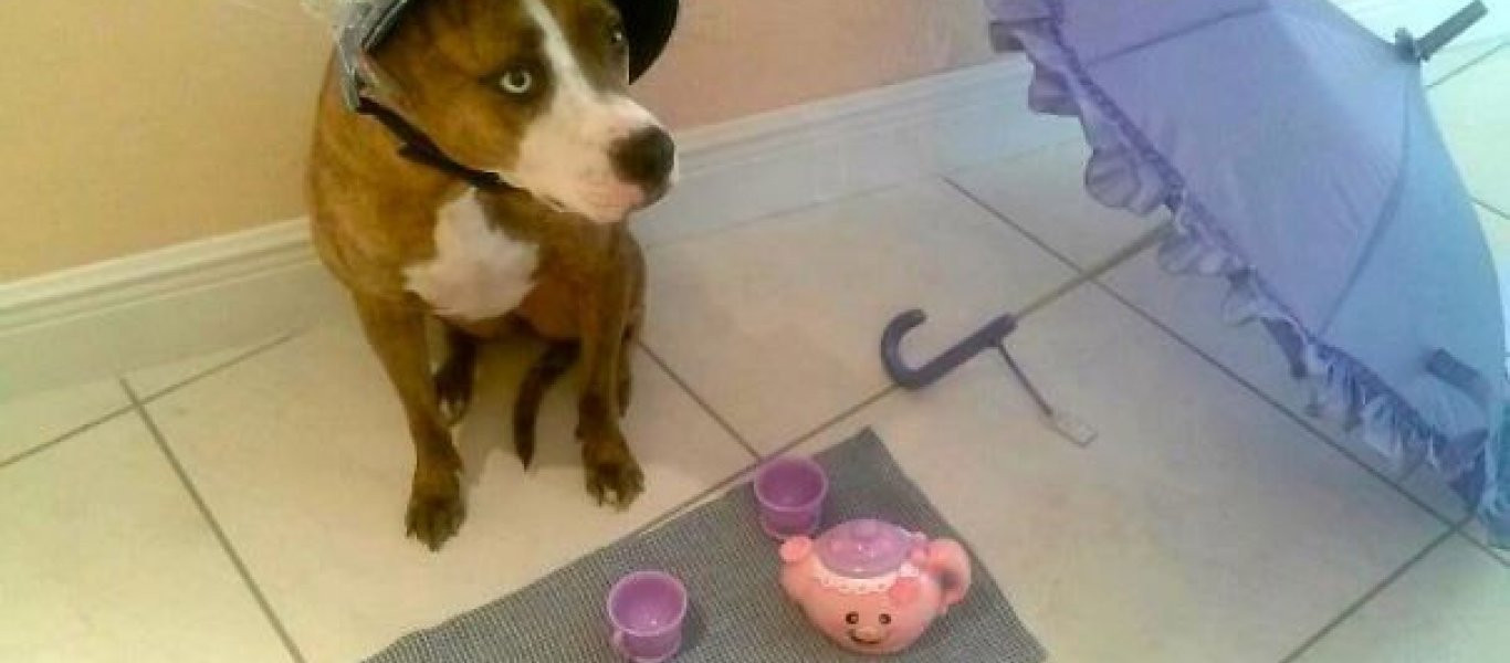 Να τι μπορεί να συμβεί αν αφήσουμε τα κατοικίδιά μας με τους φίλους μας! (φωτό)